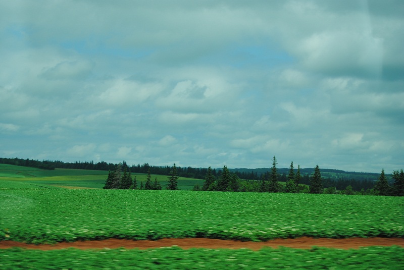 DSC_2071.JPG
