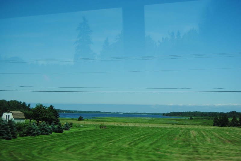 DSC_1947.JPG