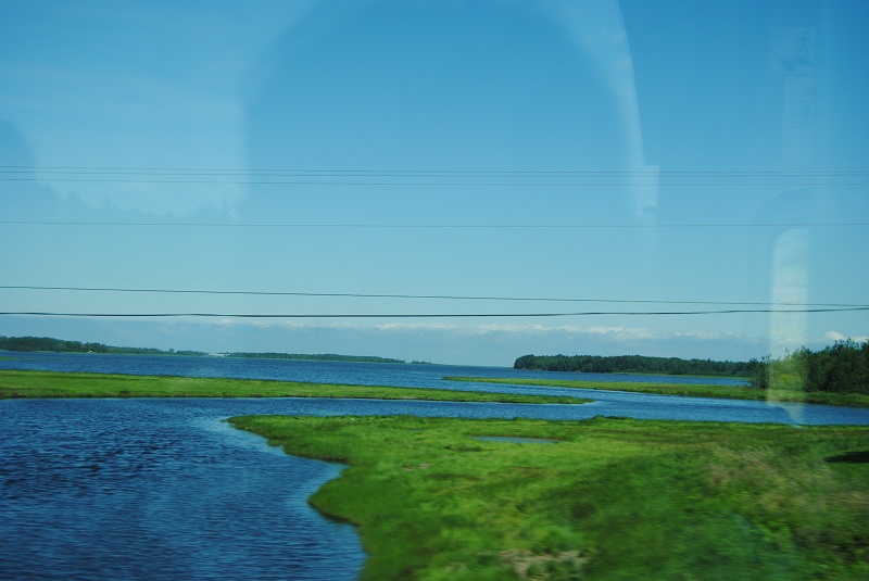 DSC_1943.JPG