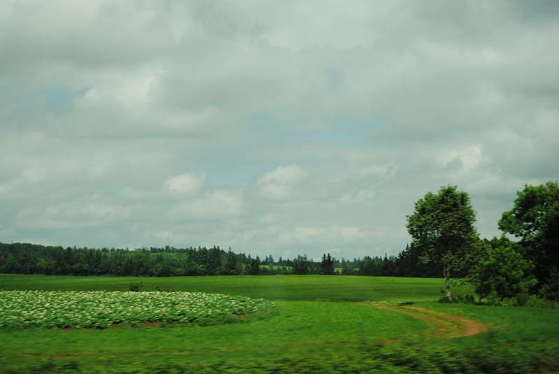 DSC_2062.JPG