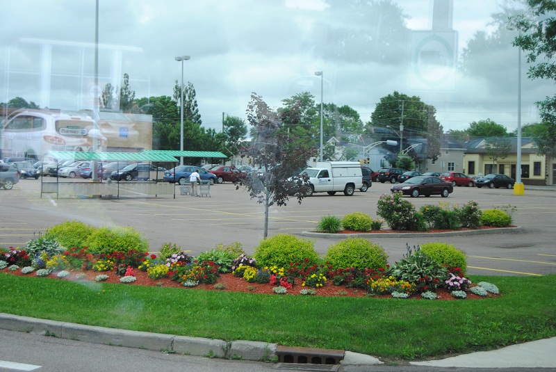 DSC_2145.JPG