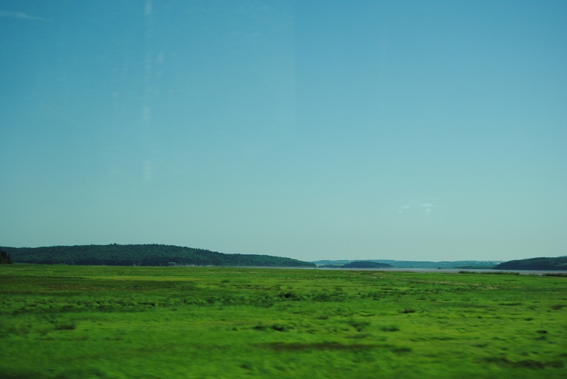 DSC_1697.JPG