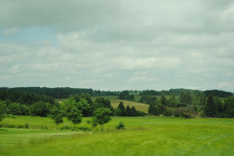 DSC_2048.JPG