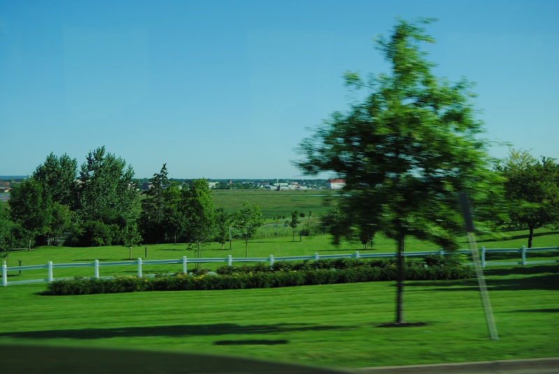 DSC_1615.JPG