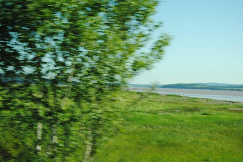 DSC_1698.JPG