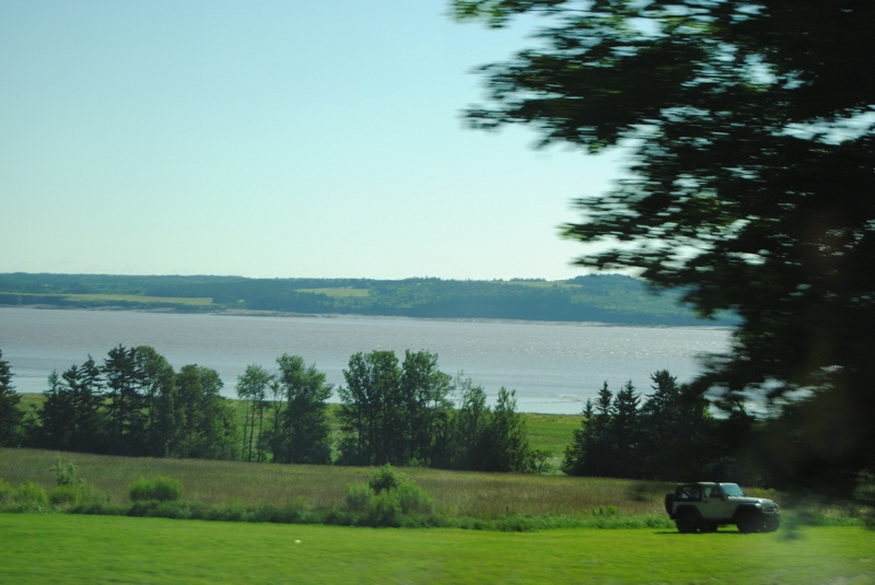 DSC_1679.JPG