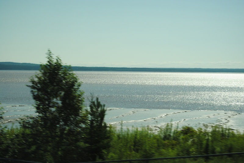 DSC_1701.JPG