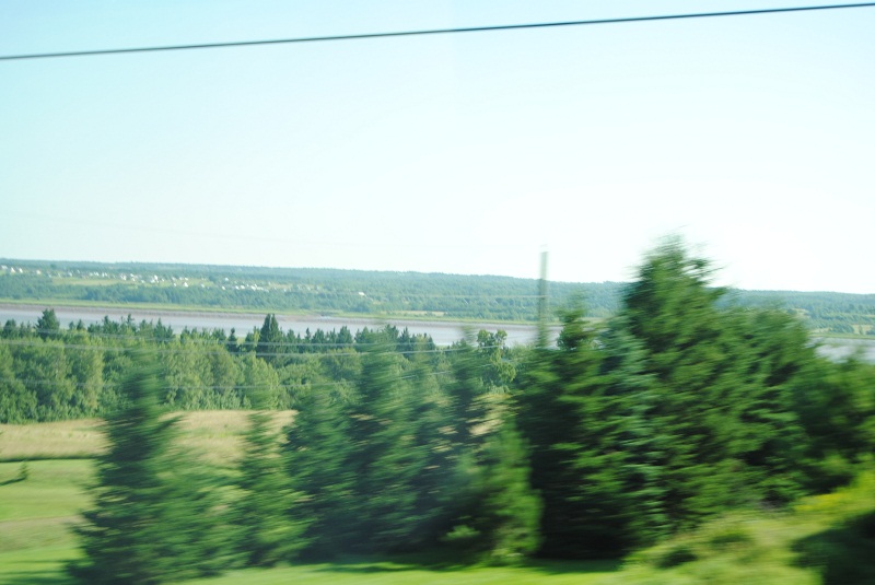 DSC_1644.JPG