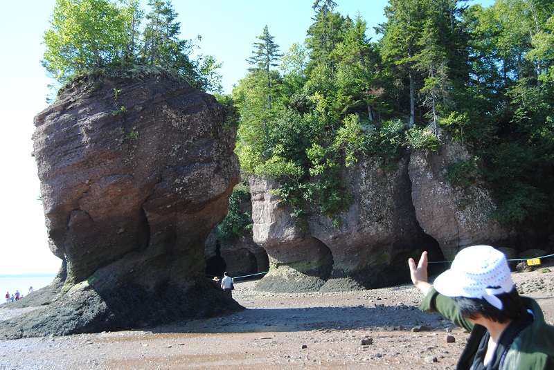 DSC_1776.JPG