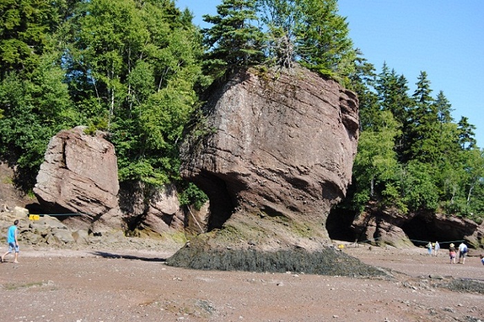 DSC_1767.JPG