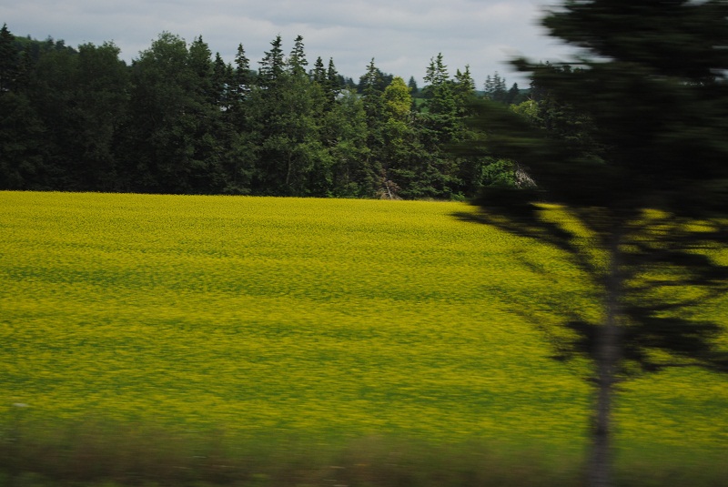 DSC_2088.JPG