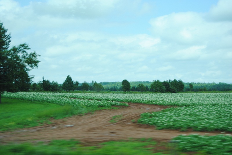 DSC_2036.JPG