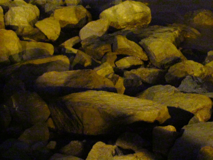 IMG_2967.jpg