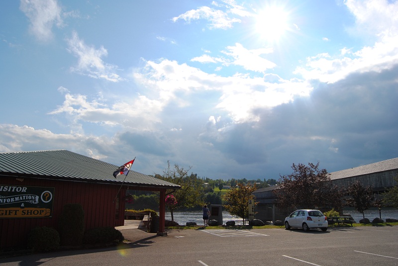 DSC_1442.JPG