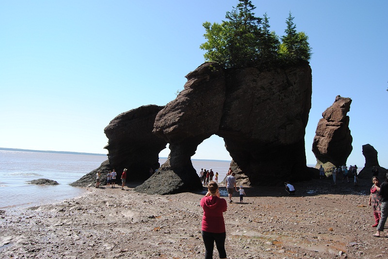 DSC_1876.JPG