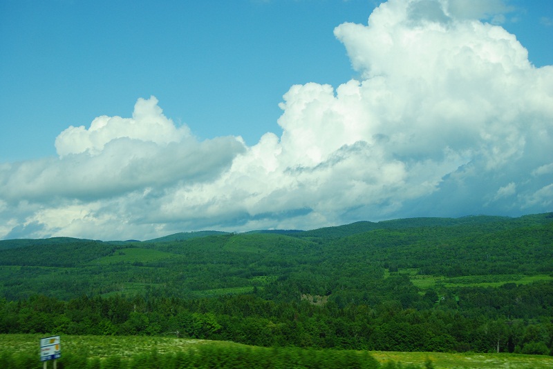 DSC_1318.JPG
