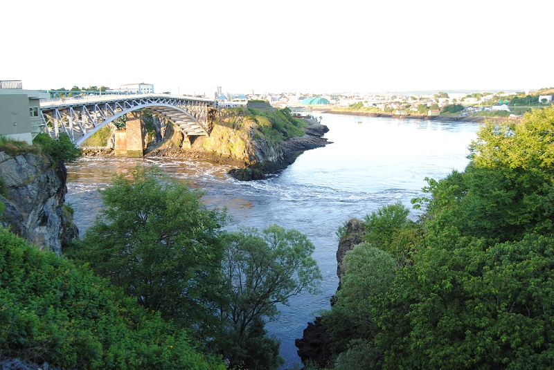 DSC_1483.JPG