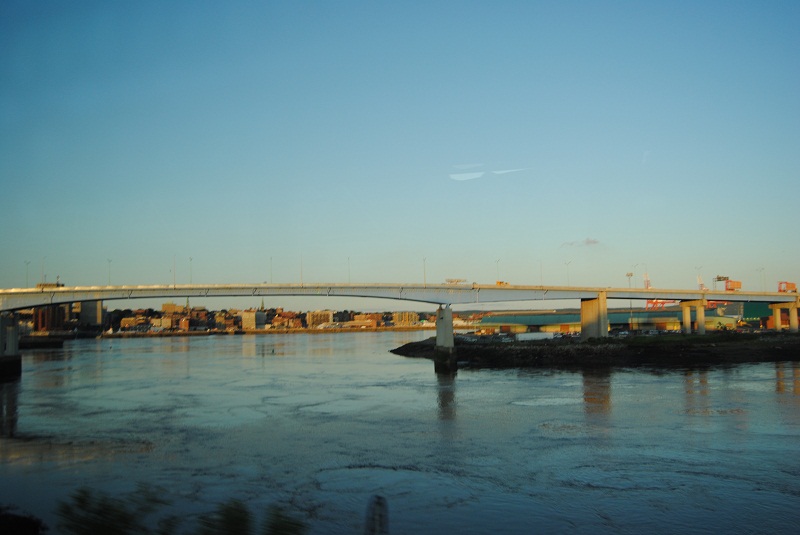 DSC_1516.JPG