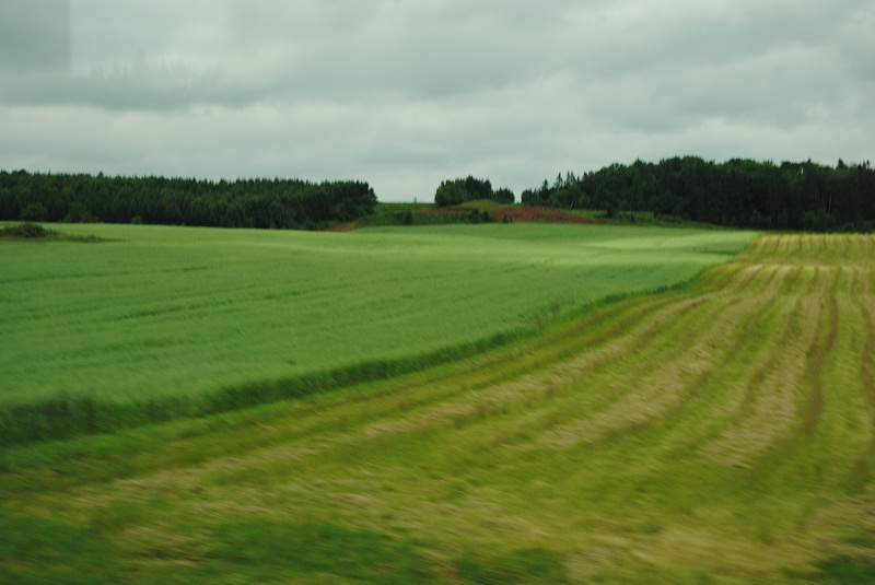 DSC_2106.JPG