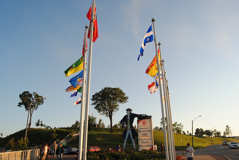 DSC_1491.JPG