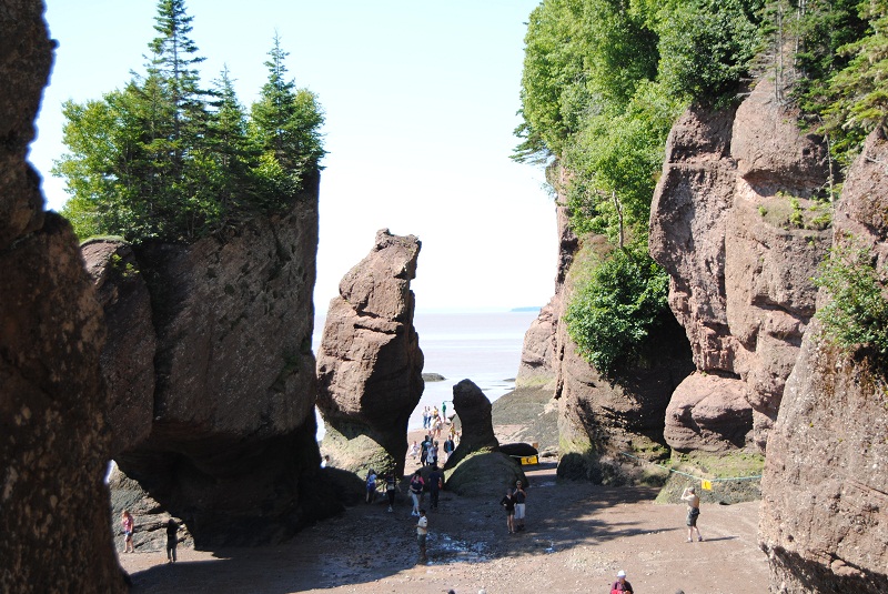 DSC_1880.JPG