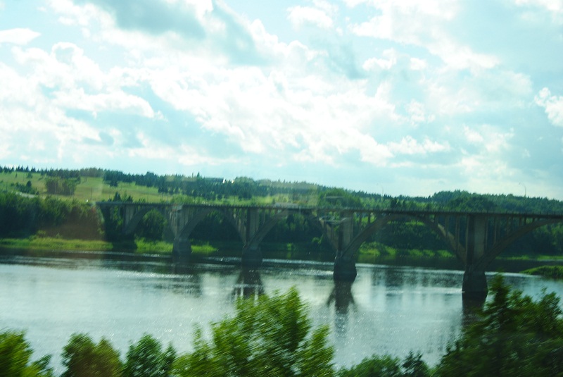 DSC_1386.JPG