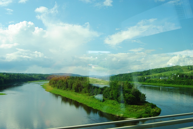 DSC_1377.JPG