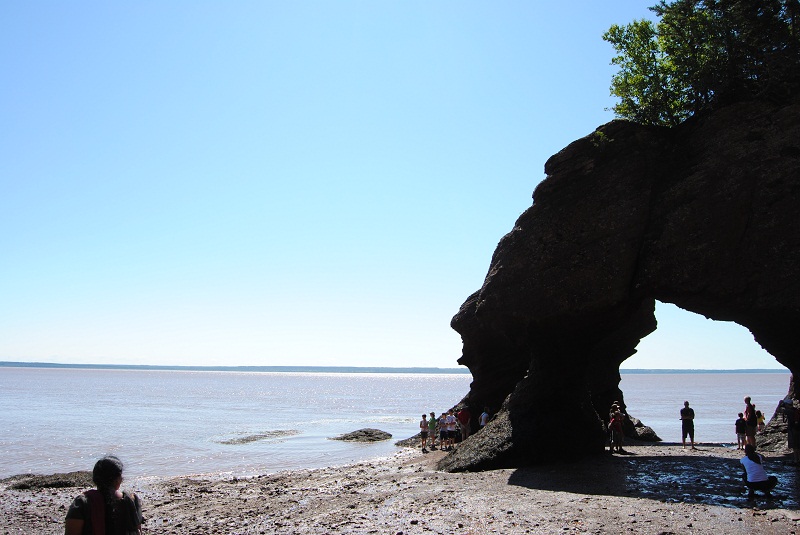 DSC_1875.JPG