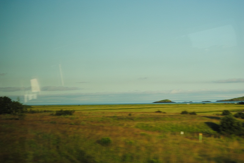 DSC_1461.JPG