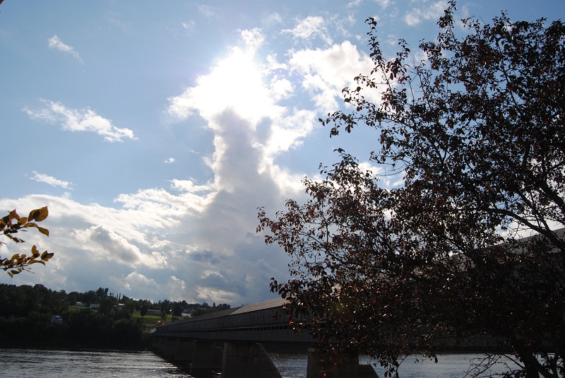 DSC_1413.JPG