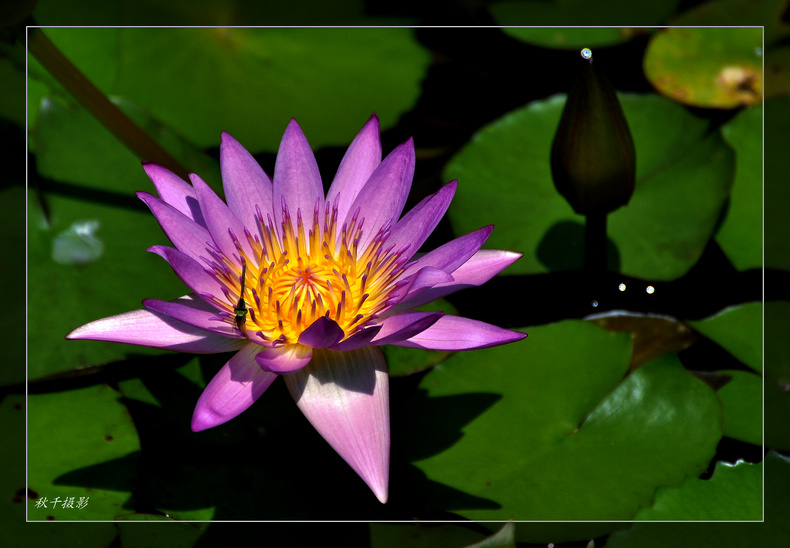 DSC_0025.JPG