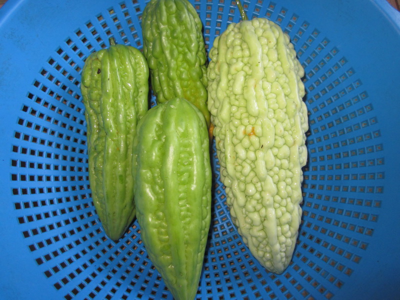 8933.jpg