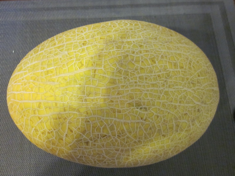 9301.jpg