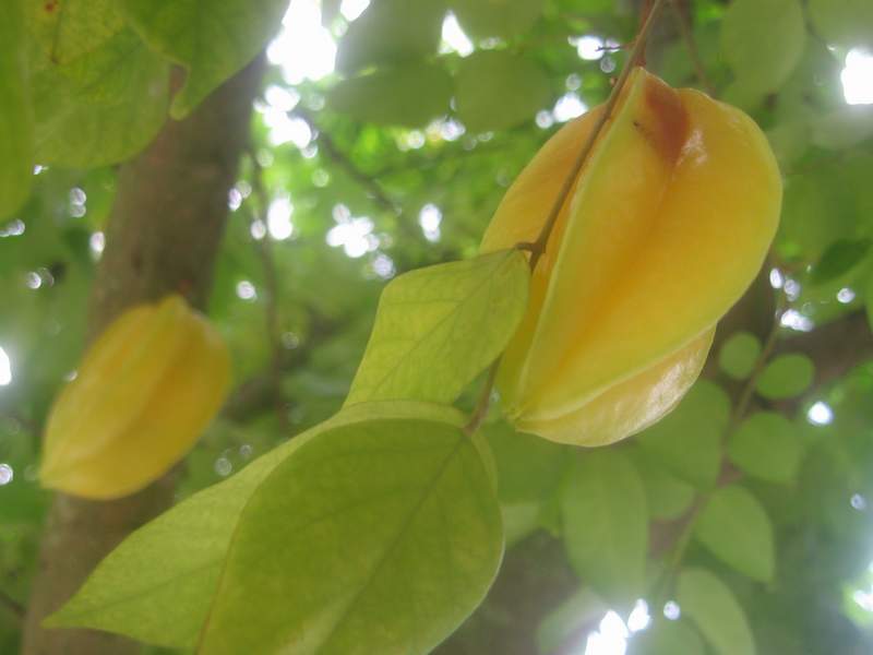 IMG_6780.jpg