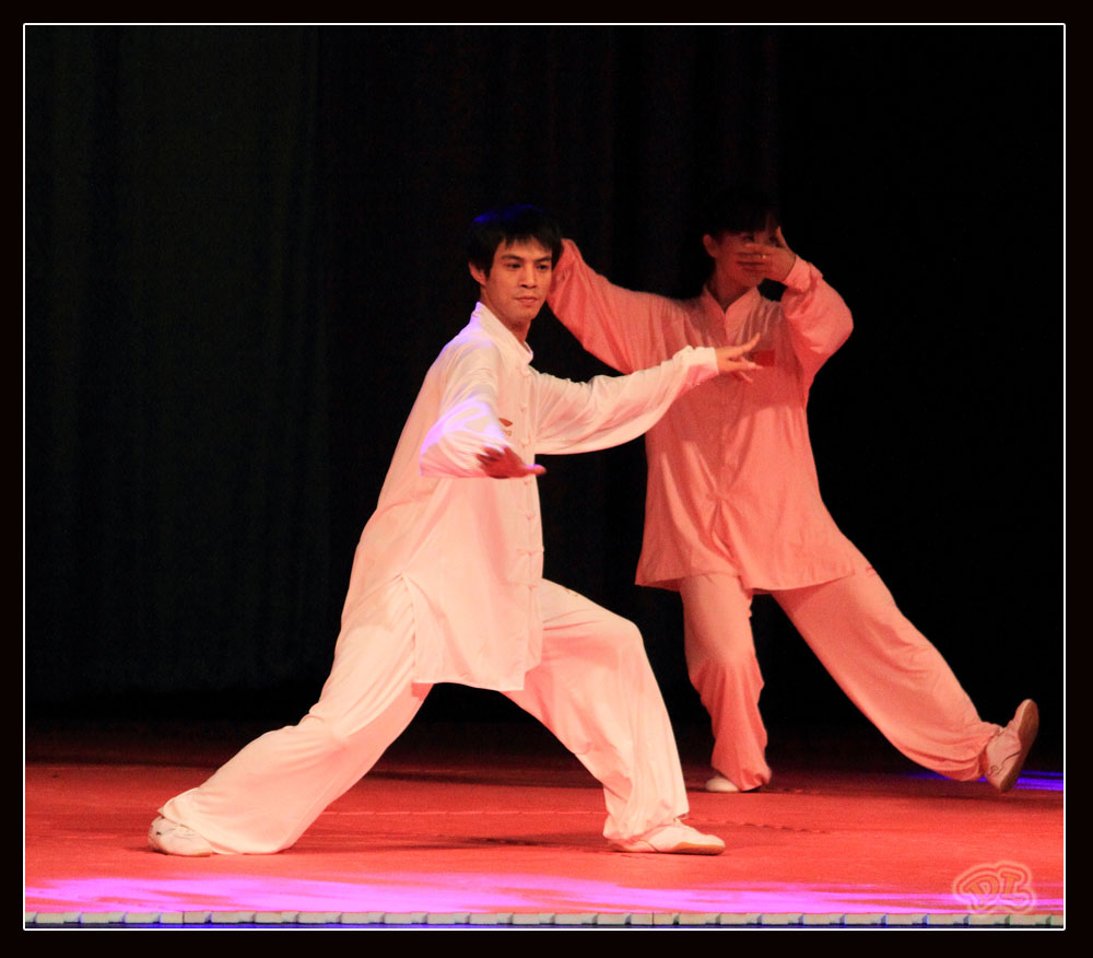 wushu4.jpg