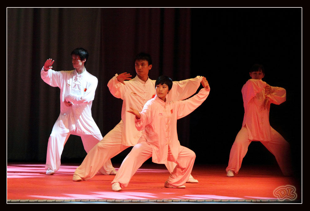wushu14.jpg