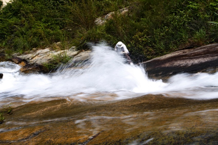 Ƭ 052_conew1.jpg