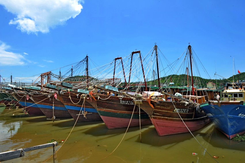 Ƭ 075_conew1.jpg