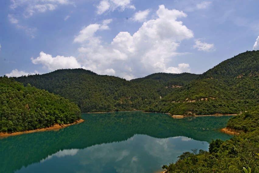 Ƭ 079_conew1.jpg