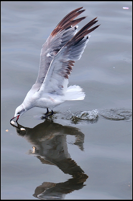 DSC_8315.JPG