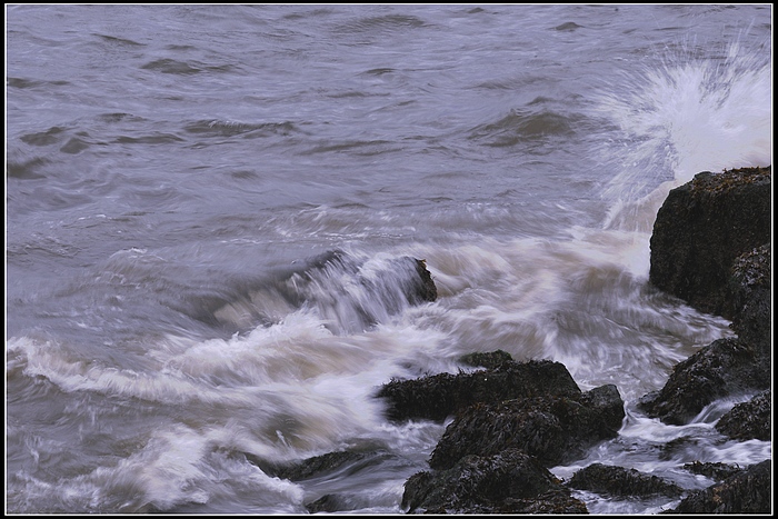 DSC_3499.JPG