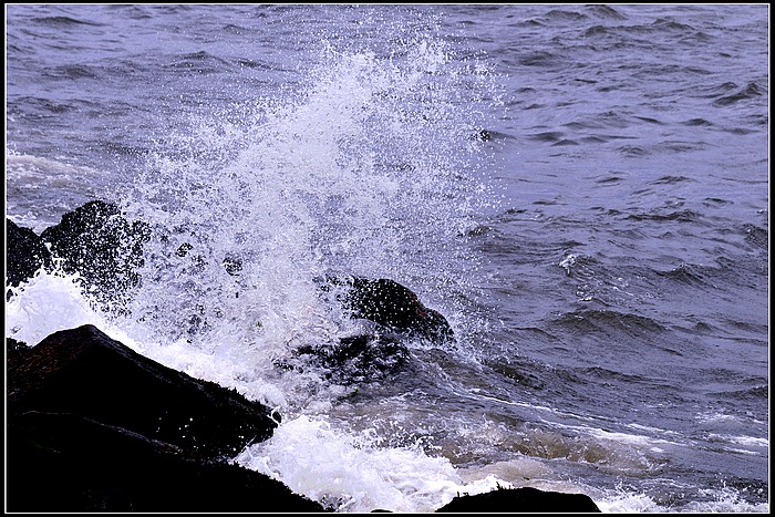 DSC_3478.JPG