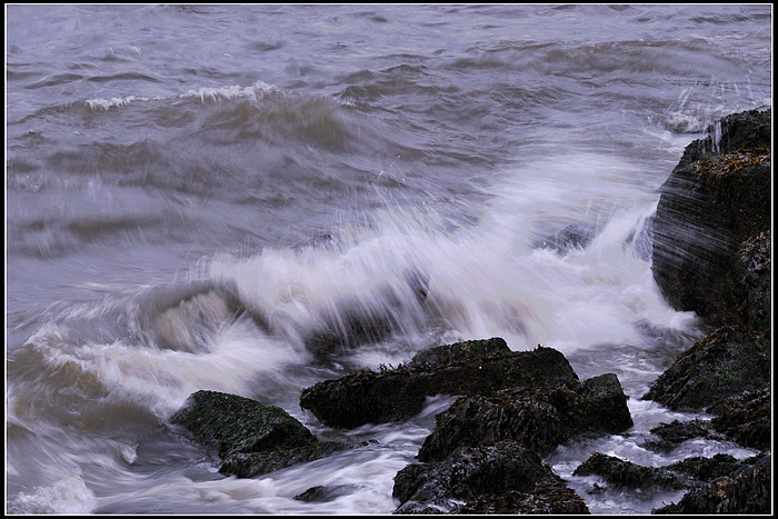 DSC_3492.JPG
