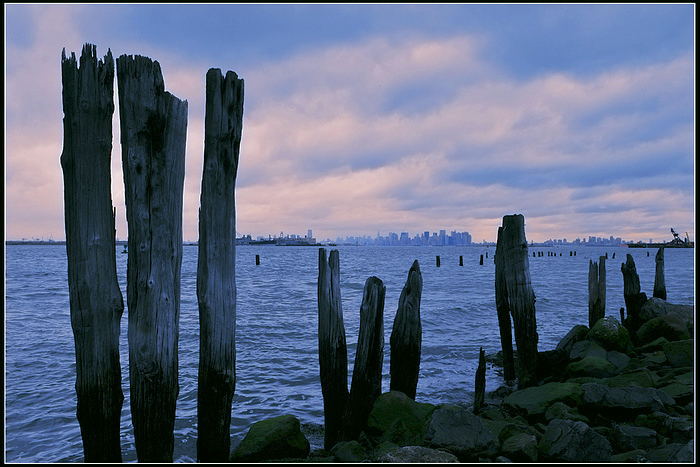 DSC_331522.jpg