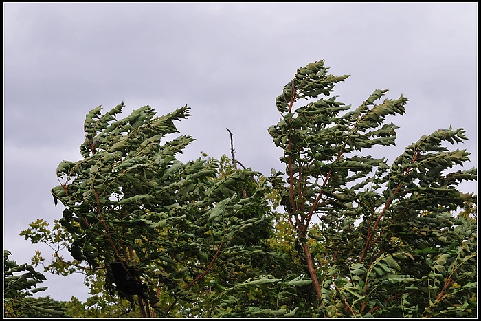 DSC_3402.JPG