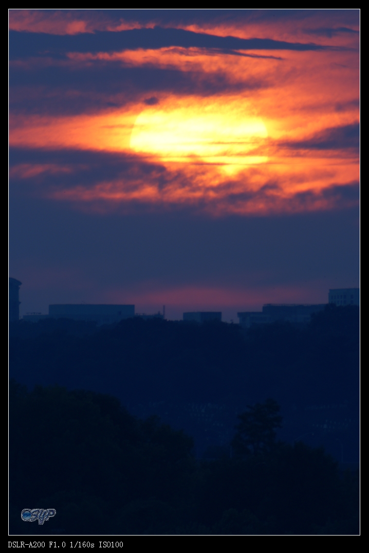 DSC03384a.jpg