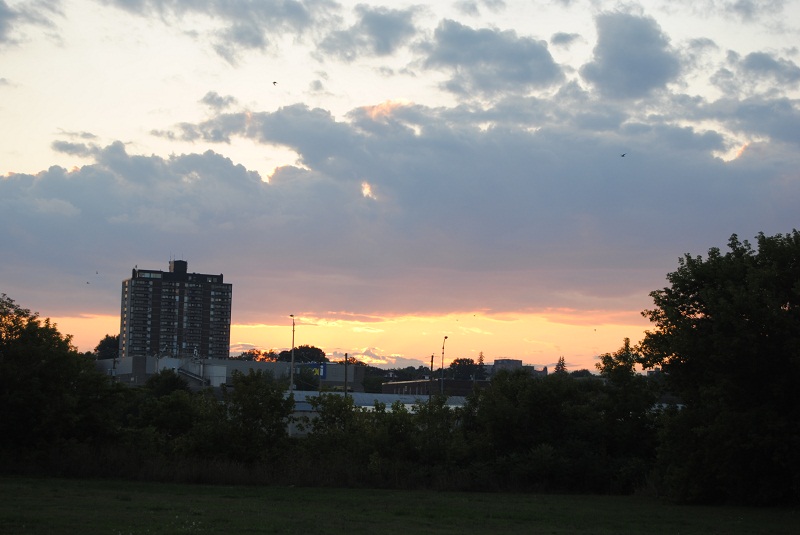 DSC_6166.JPG