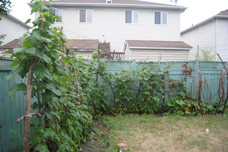 DSC_5834.JPG