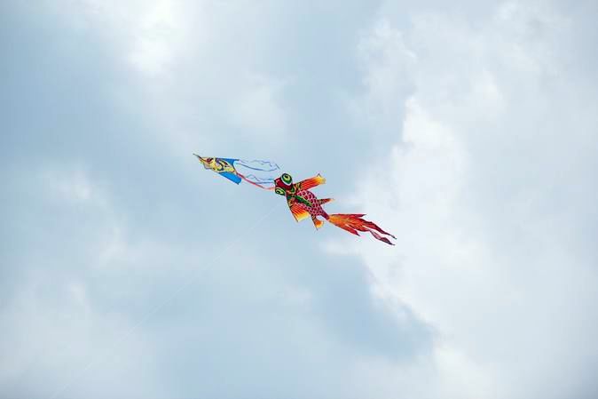 С IMG_7264.JPG