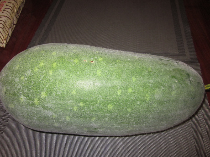 9075.jpg